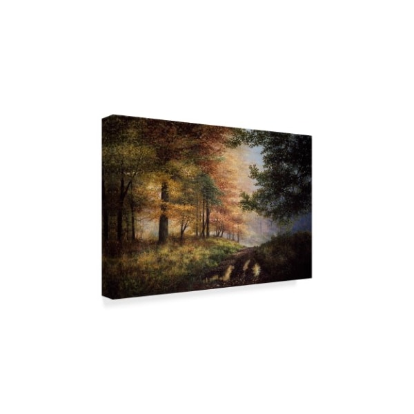 Bill Makinson 'Fall In The Pines' Canvas Art,30x47